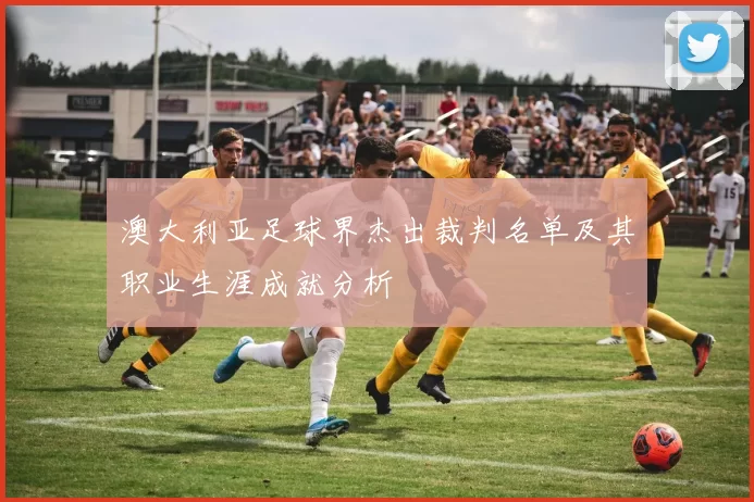 澳大利亚足球界杰出裁判名单及其职业生涯成就分析