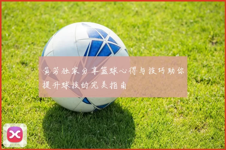黄芳独家分享篮球心得与技巧助你提升球技的完美指南