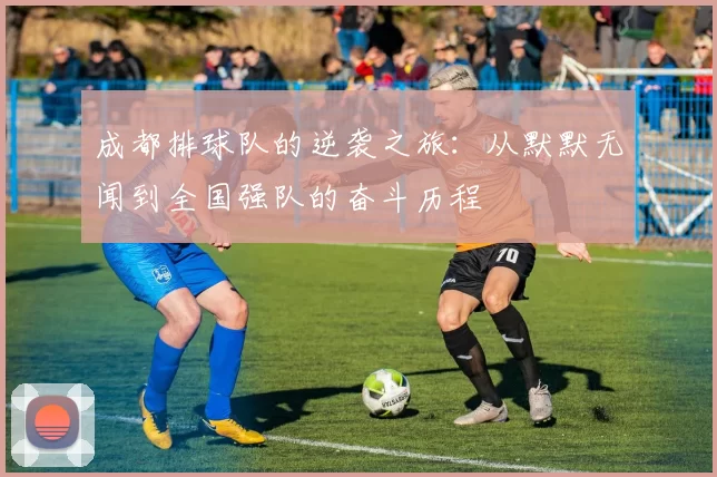 成都排球队的逆袭之旅：从默默无闻到全国强队的奋斗历程
