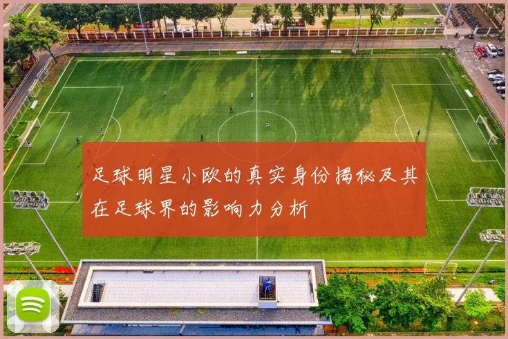 足球明星小欧的真实身份揭秘及其在足球界的影响力分析