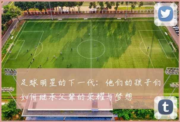 足球明星的下一代：他们的孩子们如何继承父辈的荣耀与梦想