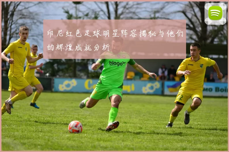 印尼红色足球明星阵容揭秘与他们的辉煌成就分析