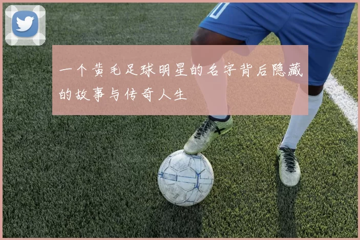 一个黄毛足球明星的名字背后隐藏的故事与传奇人生