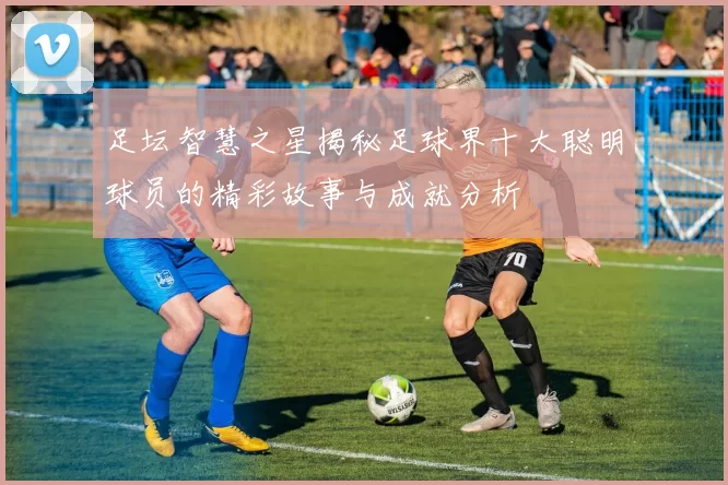 足坛智慧之星揭秘足球界十大聪明球员的精彩故事与成就分析