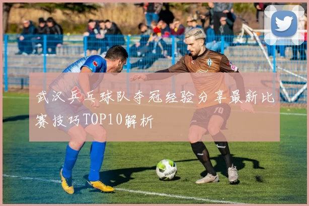 武汉乒乓球队夺冠经验分享最新比赛技巧TOP10解析