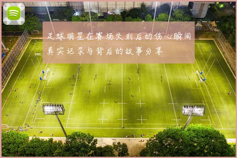 足球明星在赛场失利后的伤心瞬间真实记录与背后的故事分享
