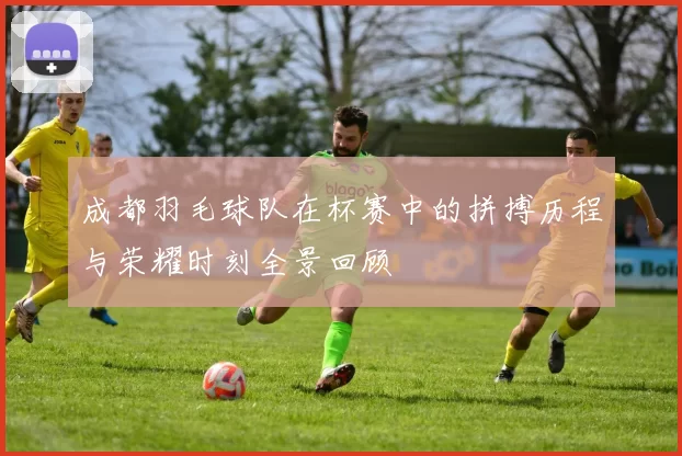 成都羽毛球队在杯赛中的拼搏历程与荣耀时刻全景回顾