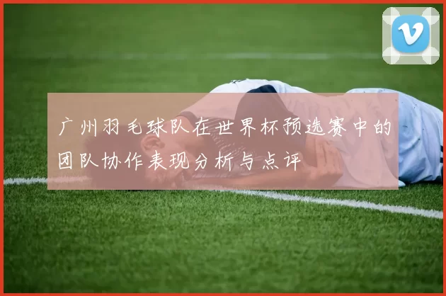 广州羽毛球队在世界杯预选赛中的团队协作表现分析与点评