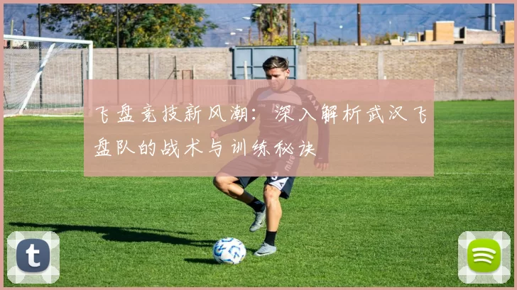 飞盘竞技新风潮：深入解析武汉飞盘队的战术与训练秘诀