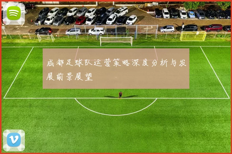 成都足球队运营策略深度分析与发展前景展望