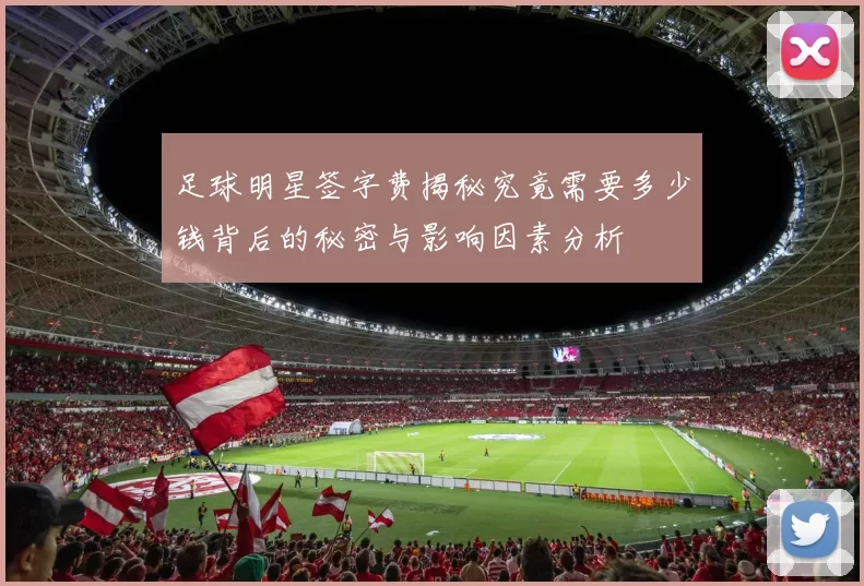 足球明星签字费揭秘究竟需要多少钱背后的秘密与影响因素分析