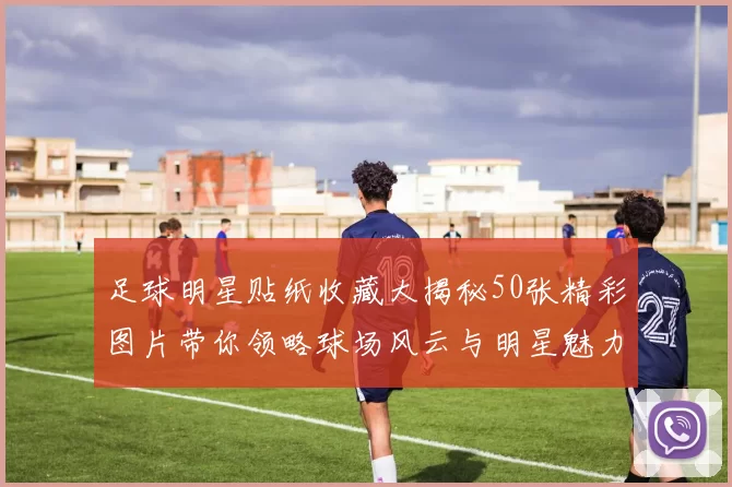 足球明星贴纸收藏大揭秘50张精彩图片带你领略球场风云与明星魅力