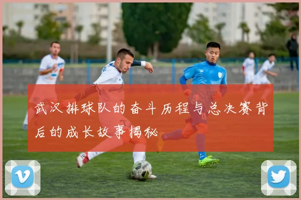 武汉排球队的奋斗历程与总决赛背后的成长故事揭秘