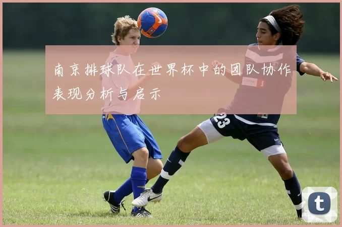 南京排球队在世界杯中的团队协作表现分析与启示