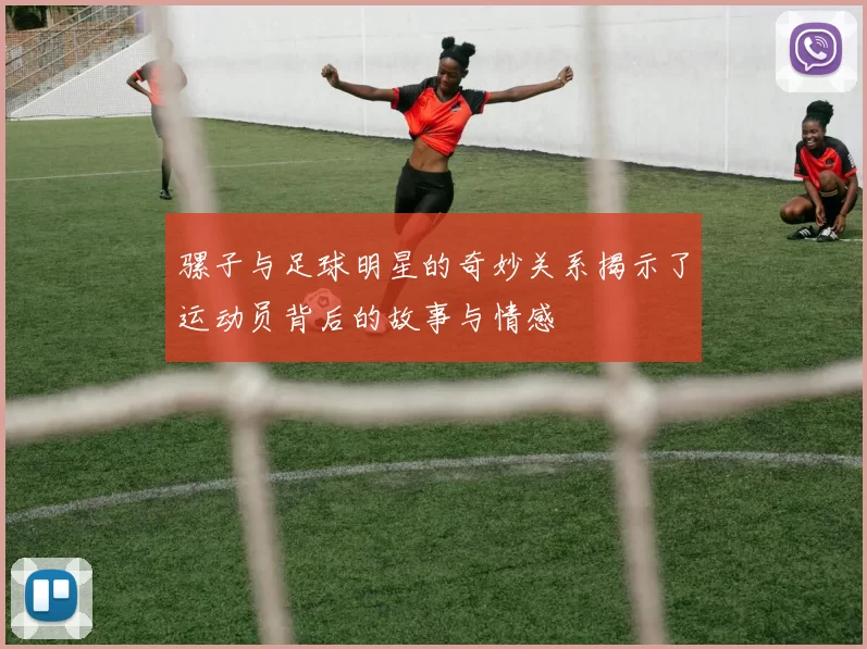 骡子与足球明星的奇妙关系揭示了运动员背后的故事与情感